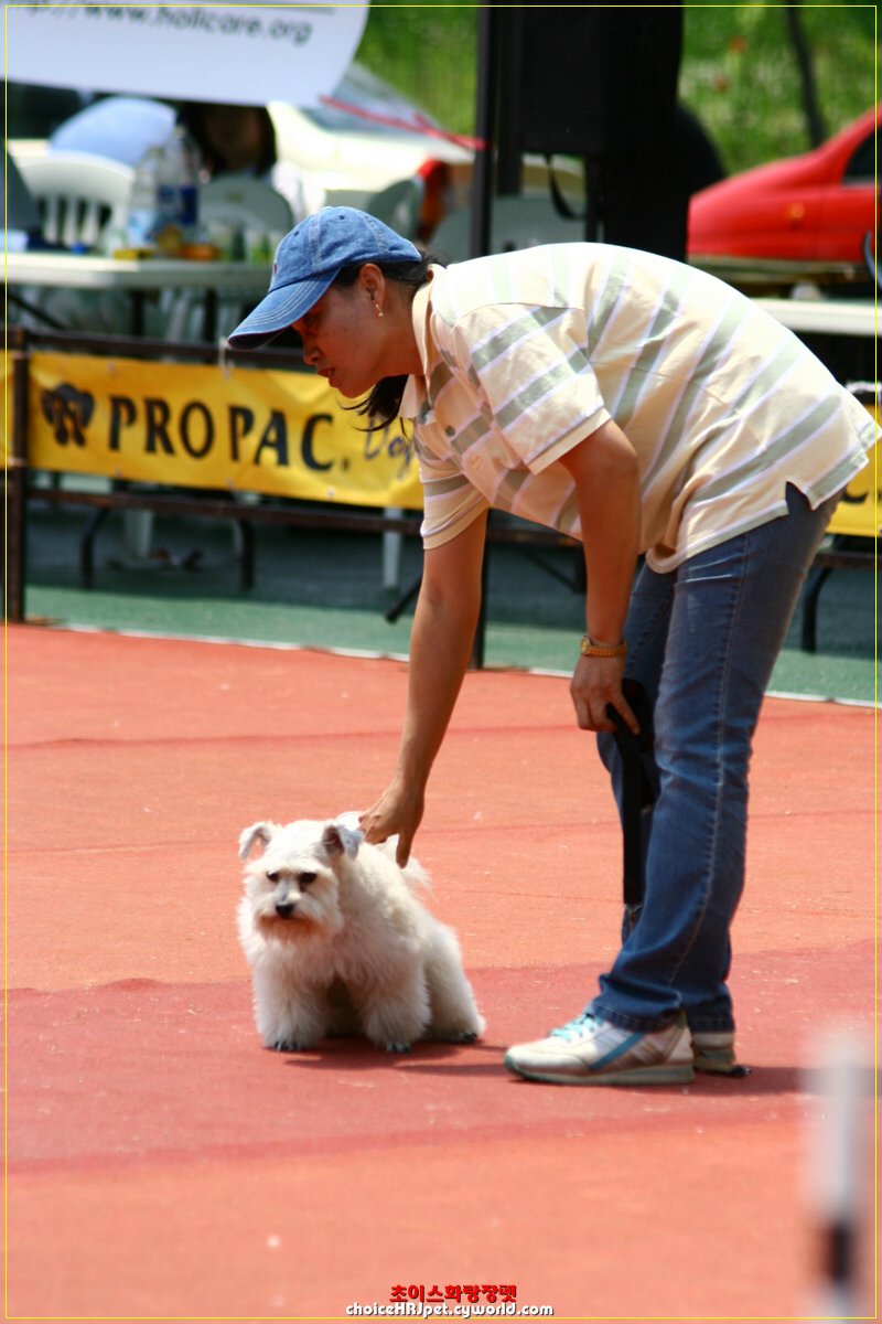 볼키 사진 감상하세요...
