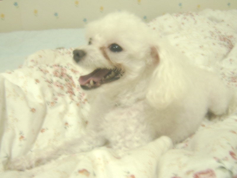 간만에 쪼미에요...