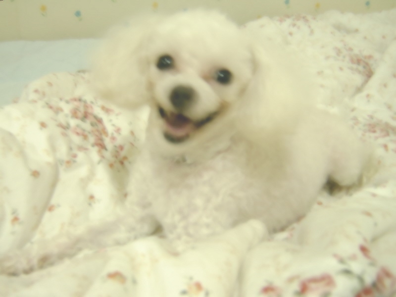 간만에 쪼미에요...