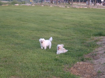 달이랑 철이랑~