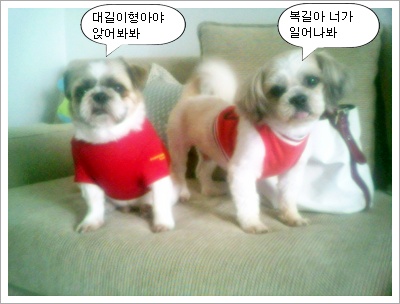 이제 슬슬 우리 대길이는...자길 좋아하는줄 아나봐요