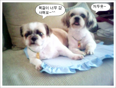 목걸이 너무너무 감사 합니당..^____^