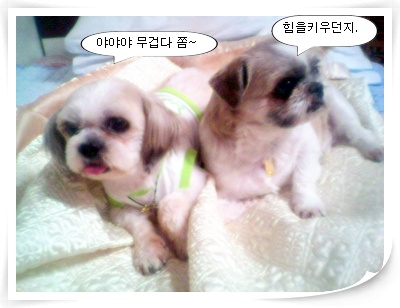 아빠회사 숙소에서~