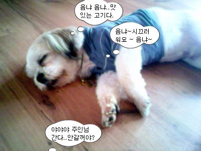 잠시...우리 대길이가