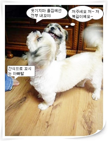 접니다...ㅡ.ㅡ;;;