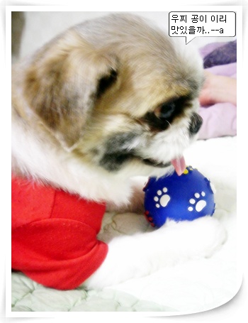 접니다...ㅡ.ㅡ;;;