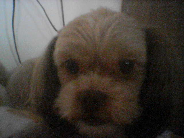 재간둥이재동이~