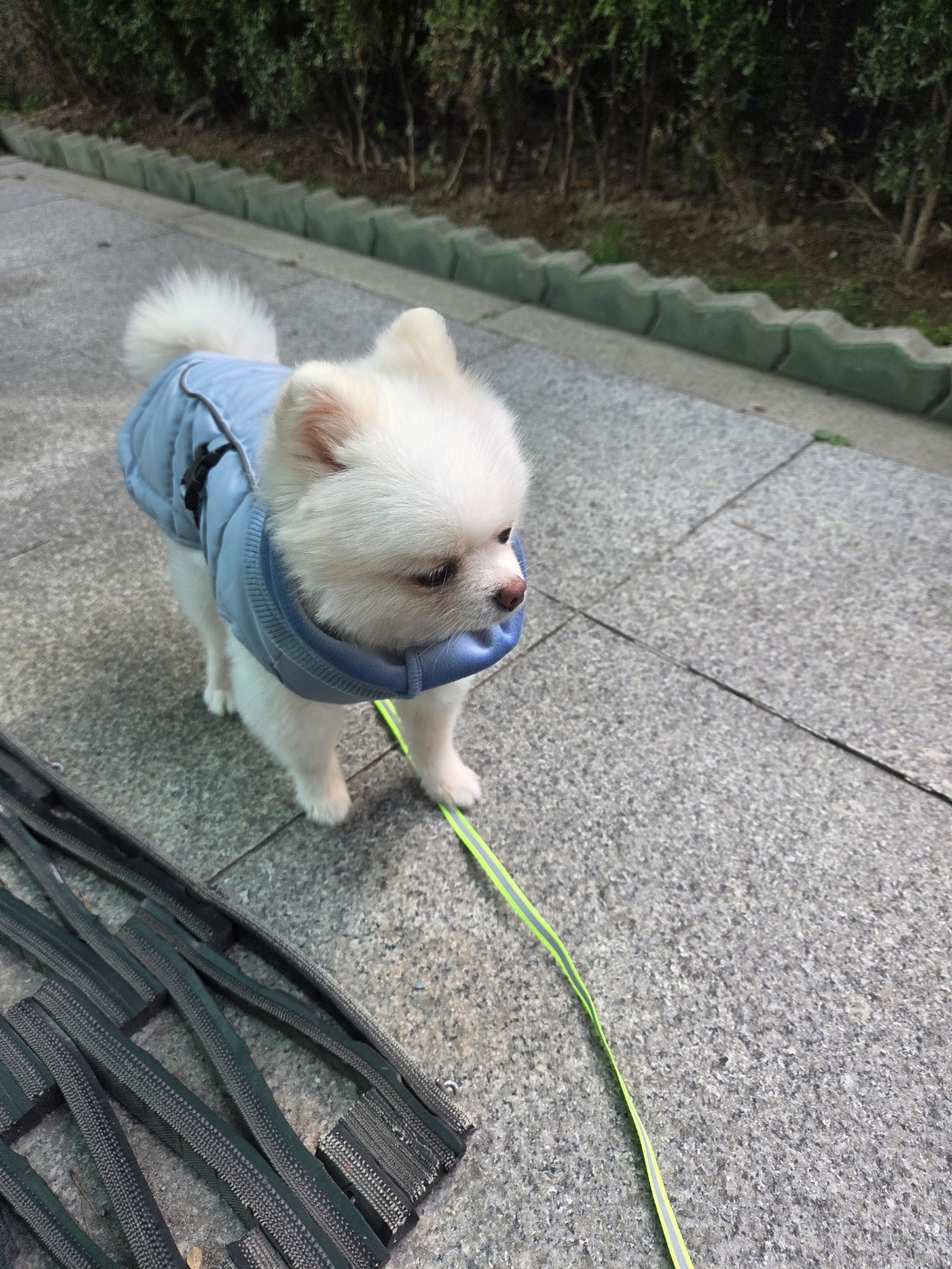 나루(구 빙봉) 한달차 후기