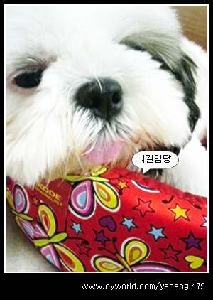 다길이네...소식...