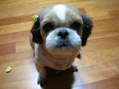 오랜만입니다.^^