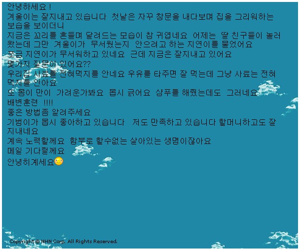 겨울이 입양자께서 보내오신 메일입니다...^^