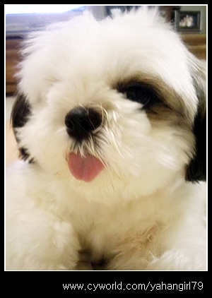 다들 추석은 잘 지내셨나요?