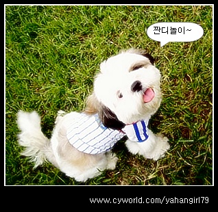 다길이네 이야기~ ①