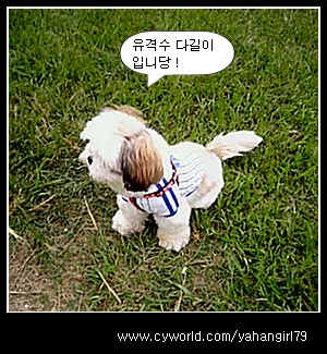 다길이네 이야기~ ①