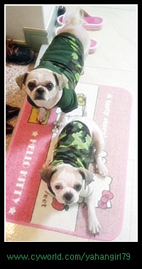 다길이네 이야기~②