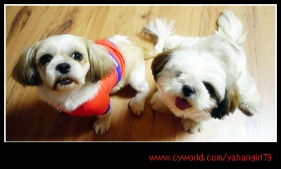 다길이네 이야기~②