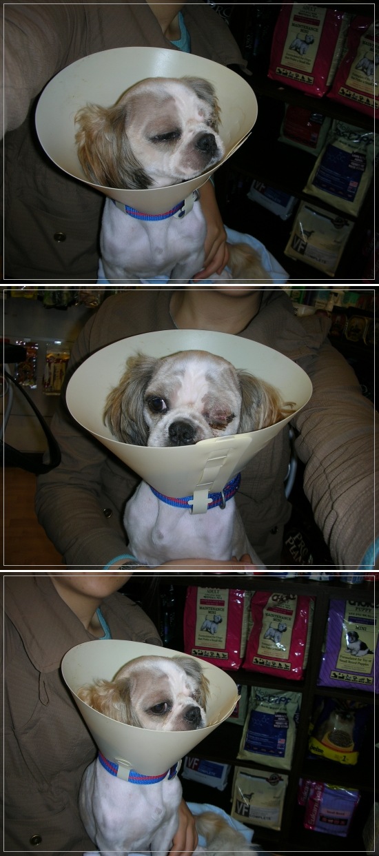 아래로 쭉 래빈이입니다.^^