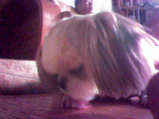 보고싶은 토토야