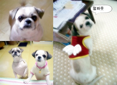 이제 겨울인거 같습니다....