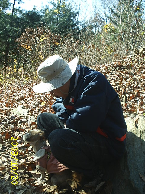 행복이아파요..ㅠ