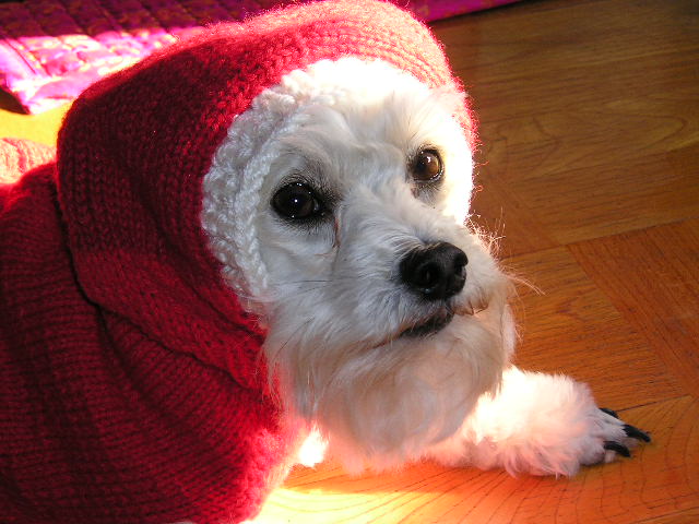 행복이아파요..ㅠ