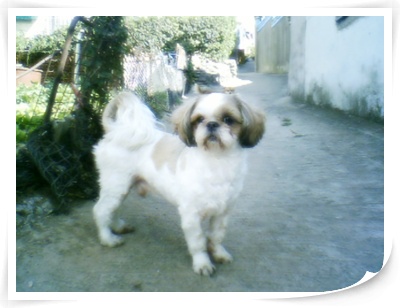 짱이 사진 또 올립니다.