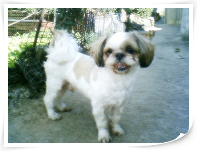 짱이 사진 또 올립니다.