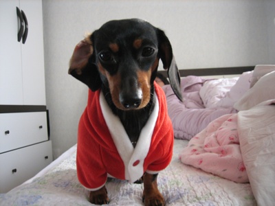 영순이 옷 산 기념 사진..ㅋㅋ