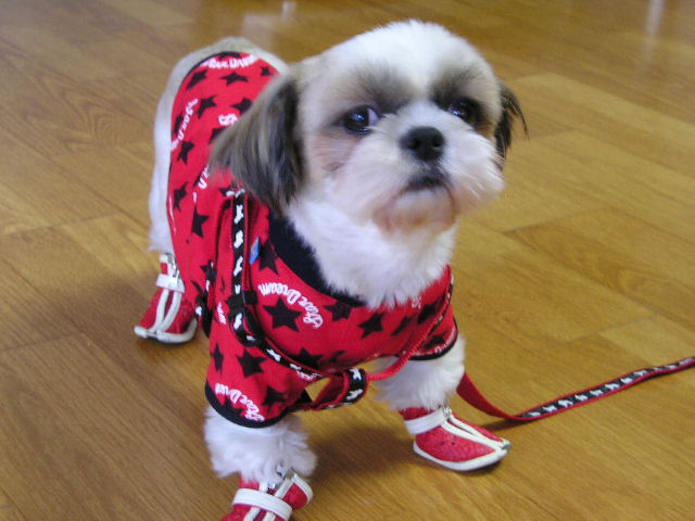 흐; 두번연속이네요오;