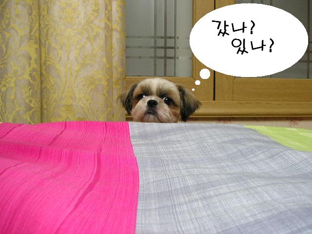 흐; 두번연속이네요오;