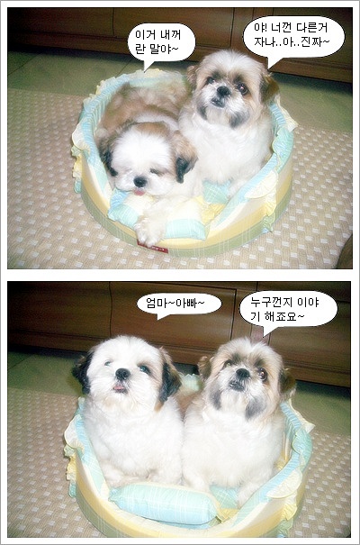 크리스 마스 선물로 예쁜 집을 사줬더니....