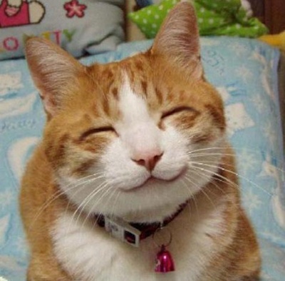 올 한해 웃으면서 삽시다..^_______________^