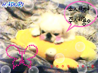 ㅠ_ㅠ 어찌해야할찌..