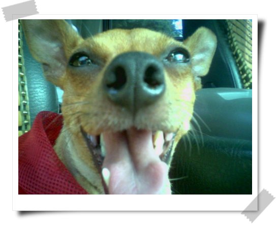 ㅠ_ㅠ 어찌해야할찌..