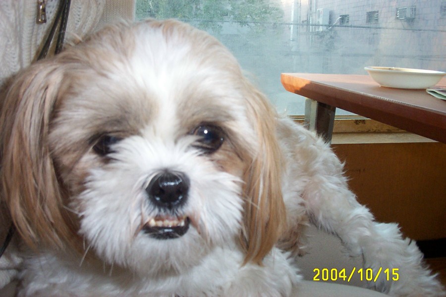 통통이 오랜만에 인사드려요^^