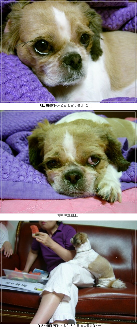 래미~