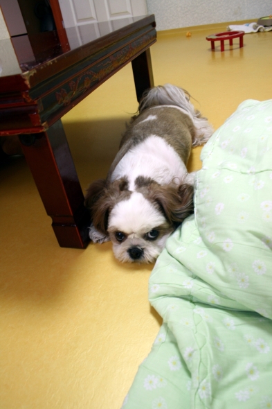 [re] 삐뚤어질테닷! #ㅜ.,ㅜ+