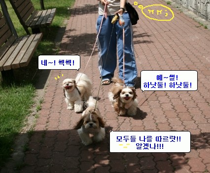 [re] 산책백서- 제1장: 산책의 기본스텝편