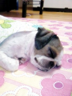 넘예쁜 아이랍니당*^^*