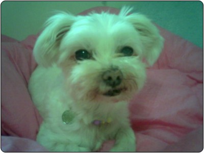 비오는날아침엔..