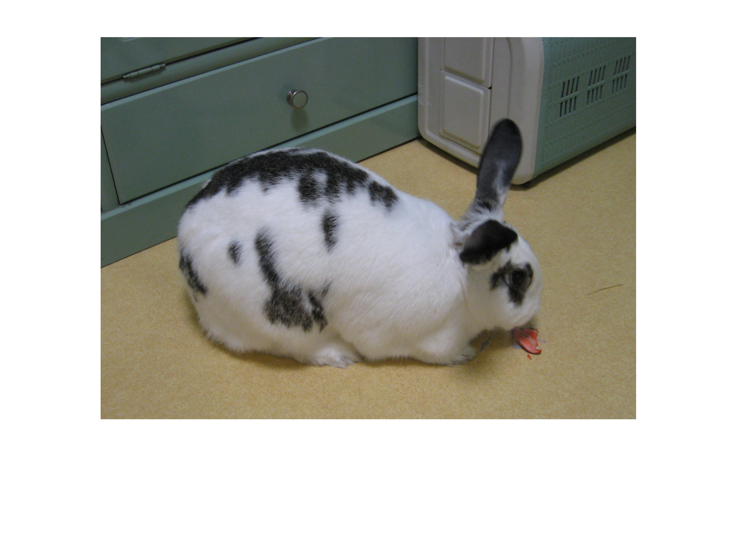 2년만에 처음 올리는 누리*^^*