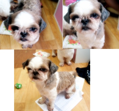 **^^**아랑이 찾았어요~~~~~!!!