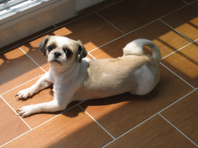 초롱여름시리즈1