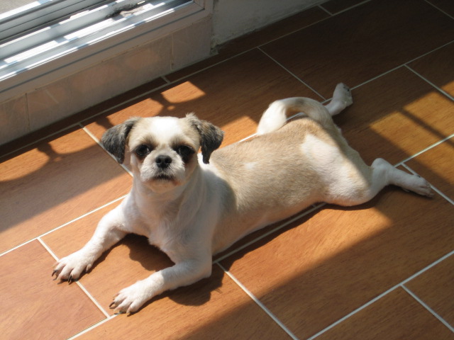 초롱여름시리즈1