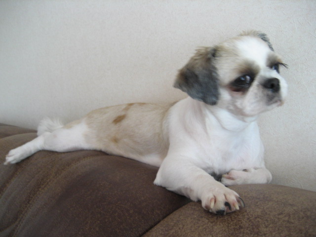 초롱여름시리즈2