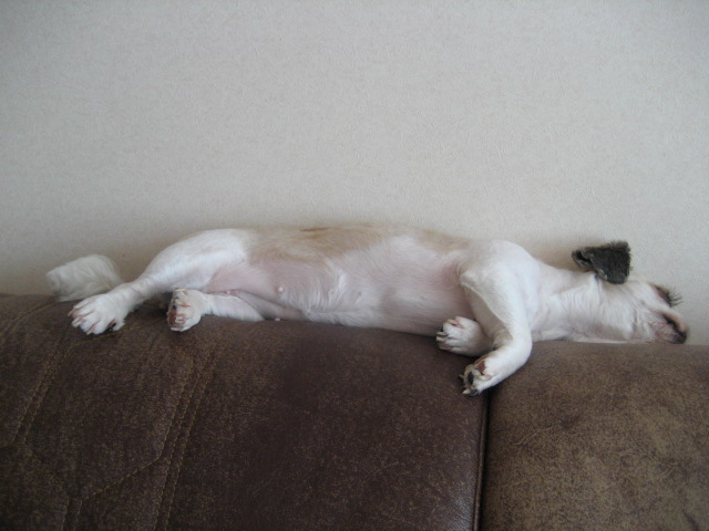 초롱여름시리즈2