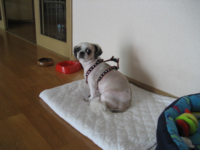 초롱여름시리즈3