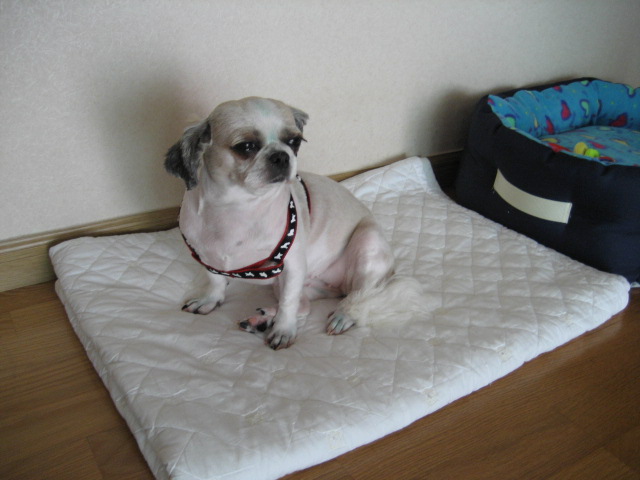 초롱여름시리즈3