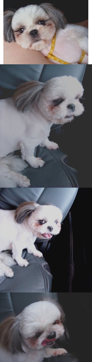 안녕하세요 가족과 함께 문경에 다녀왔어요^^