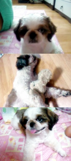 아이.아랑이네요~^^